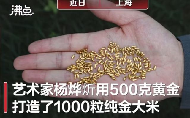 经济新闻|艺术家反浪费用黄金制1000粒米扔进黄浦江 网友:以浪费制止浪费