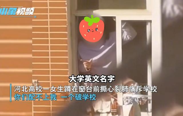 外国语学院|河北外国语学院一女生坐窗台，大喊“学校配不上我”