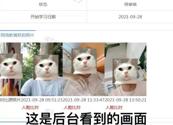 IMG00ff25da27f458523014276.jpeg