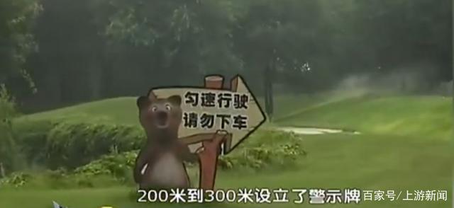 白虎|游客下车挑衅11只白虎:草坪藏电草 还曾有游客下车强行拿走天鹅蛋