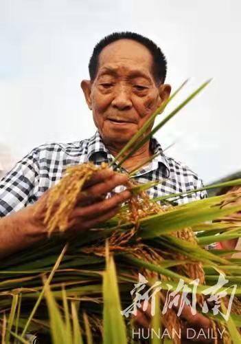 袁隆平院士|袁爷爷一路走好！袁隆平院士今日在长沙安葬