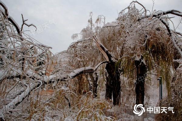 特大暴雪|近20个省会级城市降温将超10℃，雨雪大风降温即将再度上线