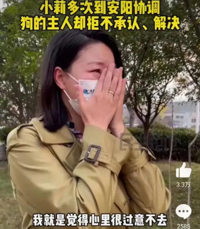 节目|主人耍无赖！“狗咬人”事件气哭记者，狗主人被停职