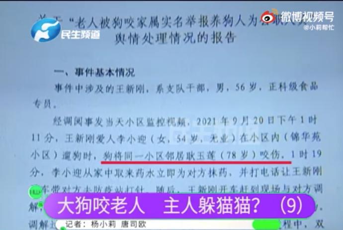 节目|主人耍无赖！“狗咬人”事件气哭记者，狗主人被停职