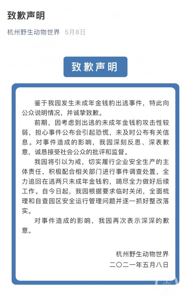 金钱豹|瞒豹风波后杭州野生动物世界重开 游客数量并不多