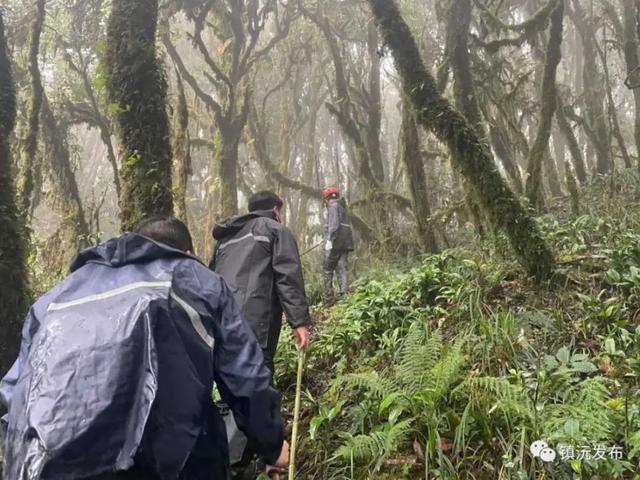 哀牢山国家级自然保护区|年龄最小的仅25岁！4名遇难地质人员身份披露，均当过兵