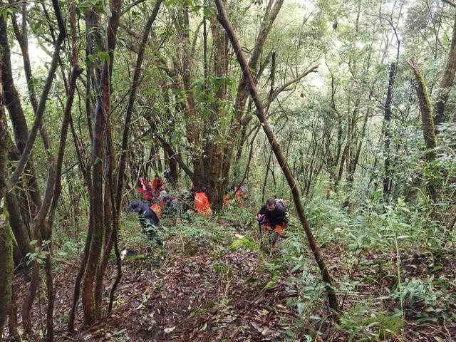 失联|4名地质人员为何在哀牢山遭遇不测 搜救人员:救援难度不是外人可以想象的