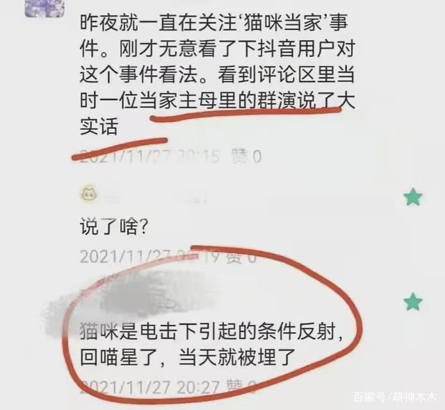 演员评论|有人发声了！《当家主母》群演称猫被电死非毒死，同场演员删评不回应