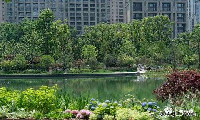 打造“公园城市新样板”！黄浦“含绿量”将创新高！