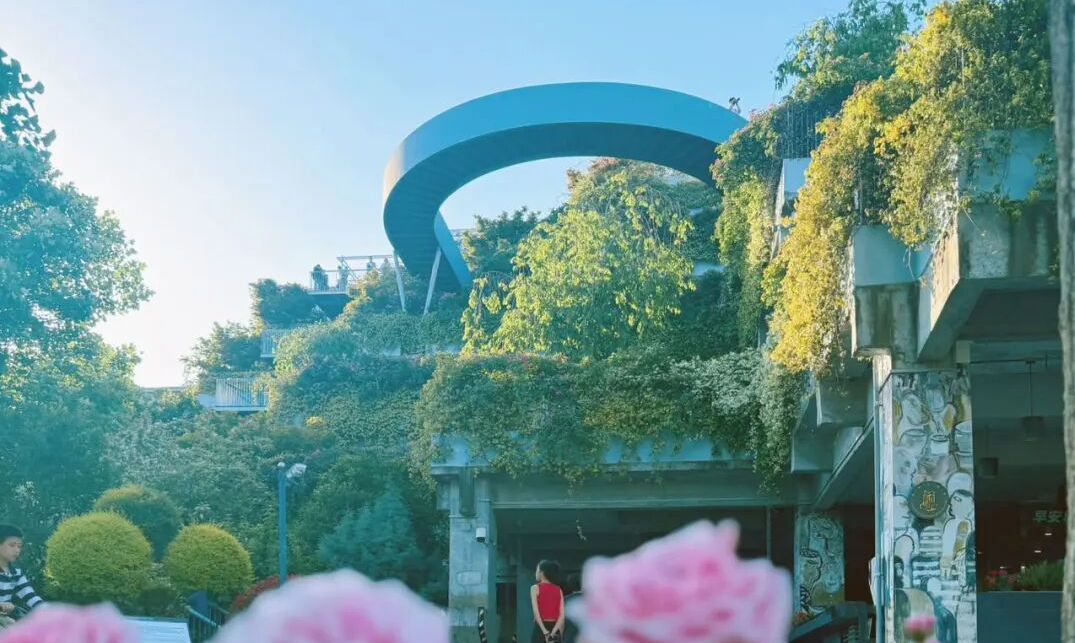 微信图片_2026-05-19_094743_655.jpg