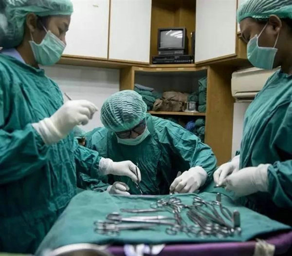 变性人手术器官图片