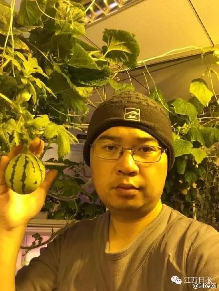 江西医生在南极种出蔬菜 为中国首例