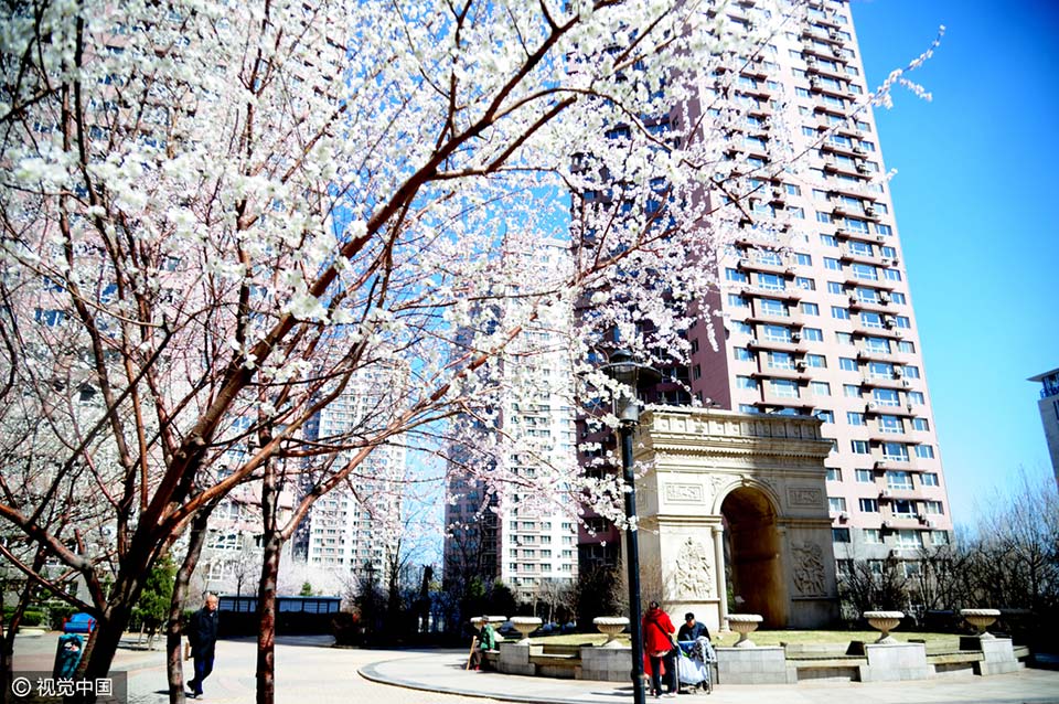 沈阳一小区内出现"山寨版"世界各地名胜地标,如同"世界公园,很是壮观