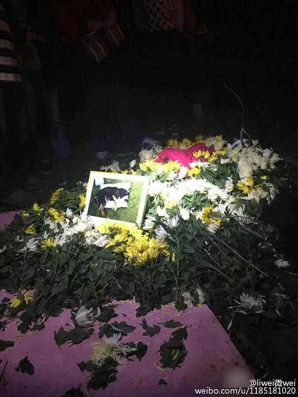 小狗被公园保安驱赶打死 爱狗者祭奠播经文超度