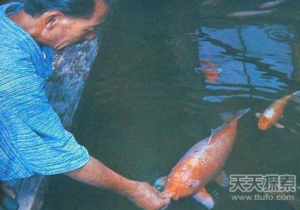盘点动物世界的老寿星