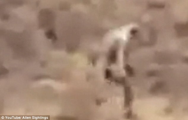 外星人？葡萄牙沙漠现神秘人性生物