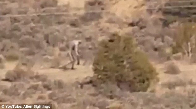 外星人？葡萄牙沙漠现神秘人性生物