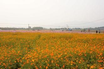 点击图片进入第一页
