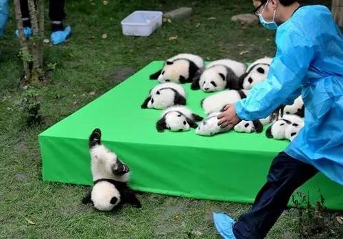 说明: http://mmbiz.qpic.cn/mmbiz_jpg/qkQTRn2Z9NzSfMWOpMEoia8sQnAHXUYGwzdhLBXX1hX4EaicWnibvUBAAAZ8pA0D5W5bk6jtahq5a1iaP9pibM7a4Gw/640?wx_fmt=jpeg&wxfrom=5&wx_lazy=1