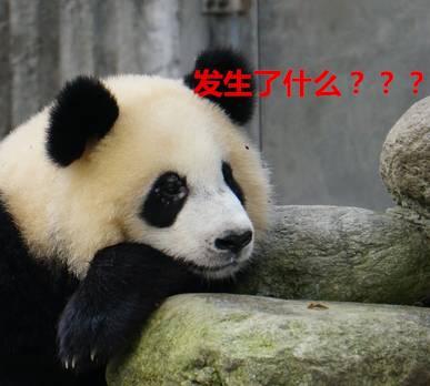 说明: http://mmbiz.qpic.cn/mmbiz_png/qkQTRn2Z9NzSfMWOpMEoia8sQnAHXUYGwl9uMugzUOTJdBqicIYWGkWy6yrMw8BgicZJibyibTc6eISOoicrSO4Barrw/640?wx_fmt=png&wxfrom=5&wx_lazy=1