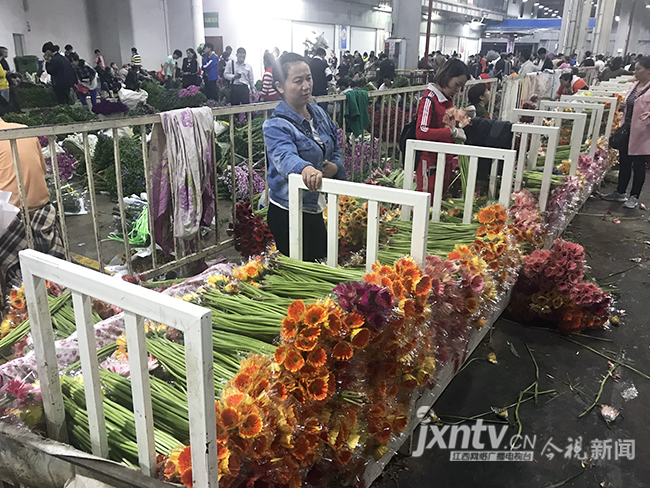 【共舞長江經濟帶】夜訪昆明斗南花卉市場 全國70%鮮切花來自這裡