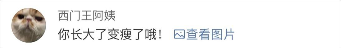 野猪误入南京地铁 南京大学学生围观：老相识啊！