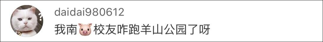 野猪误入南京地铁 南京大学学生围观：老相识啊！