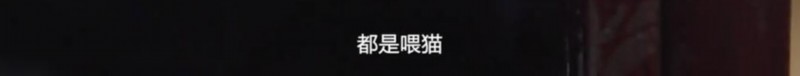 『猫猫狗狗』疫情期间，中国人对猫狗的态度，上了国外新闻……