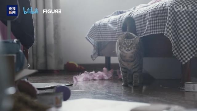 『猫猫狗狗』疫情期间，中国人对猫狗的态度，上了国外新闻……