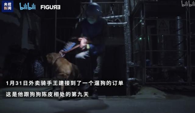 『猫猫狗狗』疫情期间，中国人对猫狗的态度，上了国外新闻……
