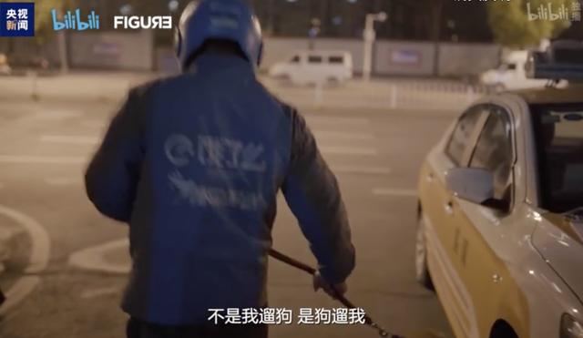 『猫猫狗狗』疫情期间，中国人对猫狗的态度，上了国外新闻……