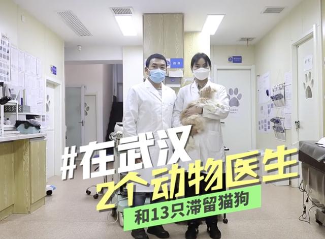 『猫猫狗狗』疫情期间，中国人对猫狗的态度，上了国外新闻……