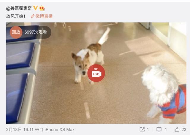 『猫猫狗狗』疫情期间，中国人对猫狗的态度，上了国外新闻……