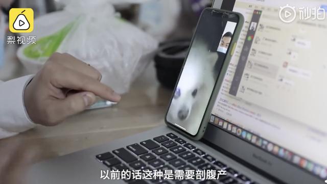 『猫猫狗狗』疫情期间，中国人对猫狗的态度，上了国外新闻……