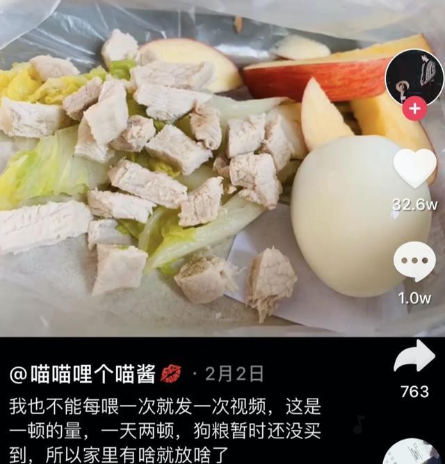 『猫猫狗狗』疫情期间，中国人对猫狗的态度，上了国外新闻……