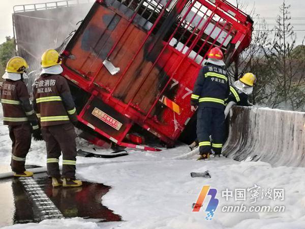 「二师兄」惨烈！浙江一货车起火91头肥猪死亡，仅剩一只逃出生天