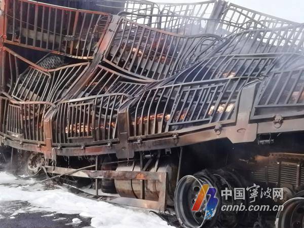 「二师兄」惨烈！浙江一货车起火91头肥猪死亡，仅剩一只逃出生天