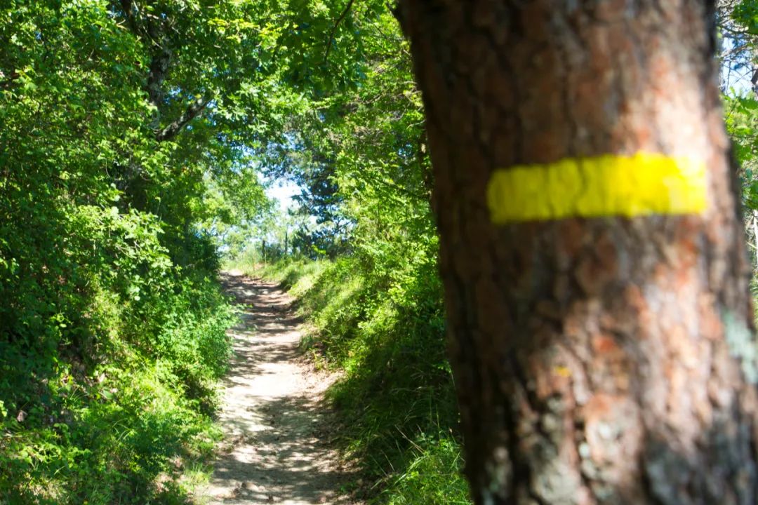 [迷路]啼笑皆非！法国一男子翻山跨境去西班牙买烟，差点迷路出动消防员