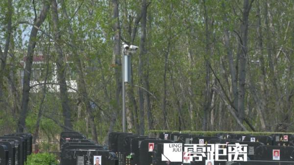 墓穴@离奇！男子母亲墓穴被人砸烂，骨灰不翼而飞，还留下一封敲诈信......