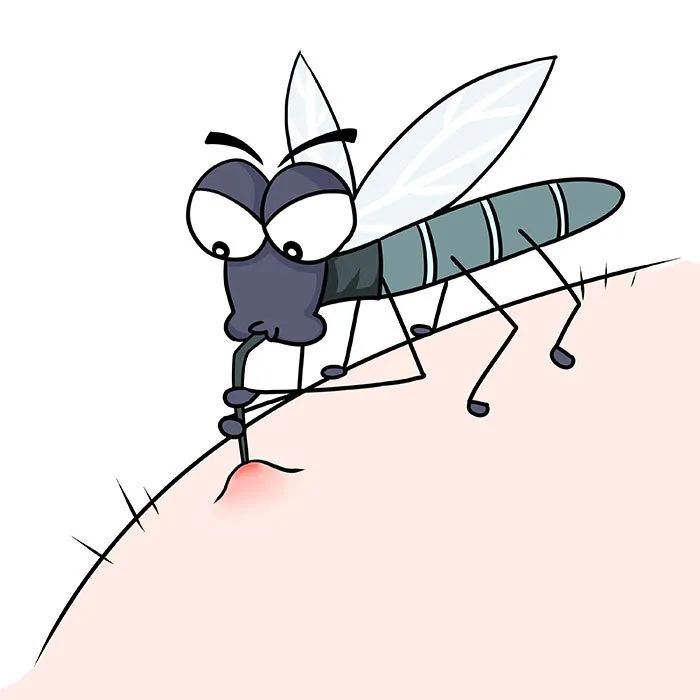 ：被蚊子叮了，会得新冠吗？