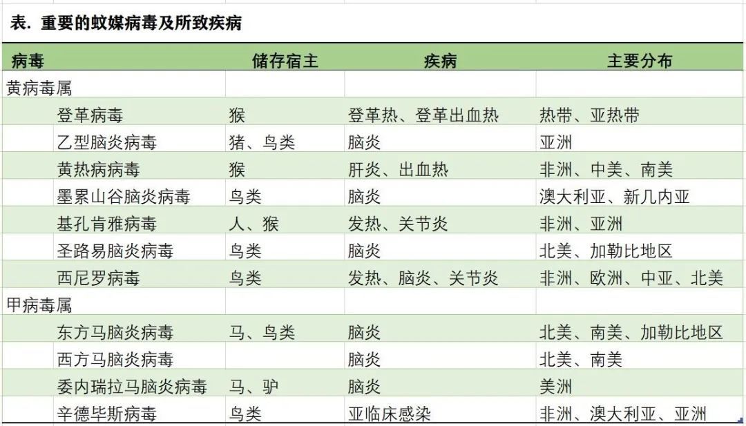 ：被蚊子叮了，会得新冠吗？