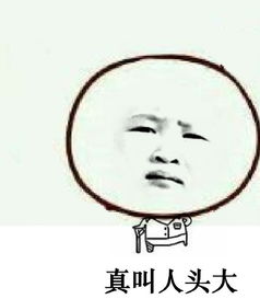 【法国总理】学者:法国远远落后于中国 却已经独步西方了