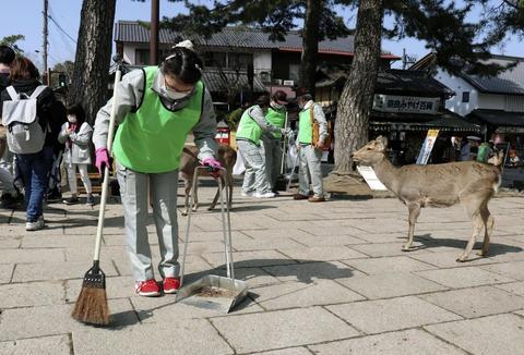 【组团】疫情之下，奈良鹿组团溜达堵满街道，垃圾箱翻食物