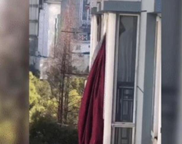 『窗帘』这事竟还有后续！武汉网红窗帘连续剧还有彩蛋：将被湖北省博物馆收藏