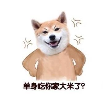 #剩女#大可不必520? 单身狗的快乐 无爱一身轻