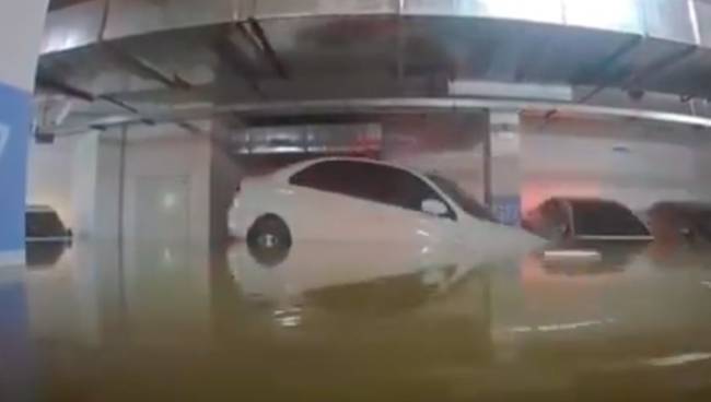 『地下车库』车库被淹洪水完美倒车入库 网友:心痛又好笑