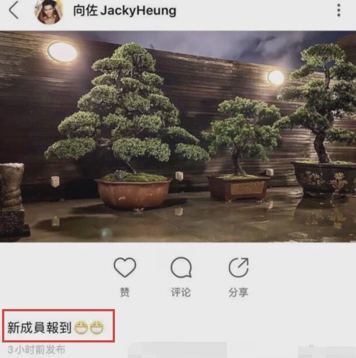 「怀孕」向佐激动发图文郭碧婷疑成功怀孕,但“辟谣专家”向太发文疑似否认