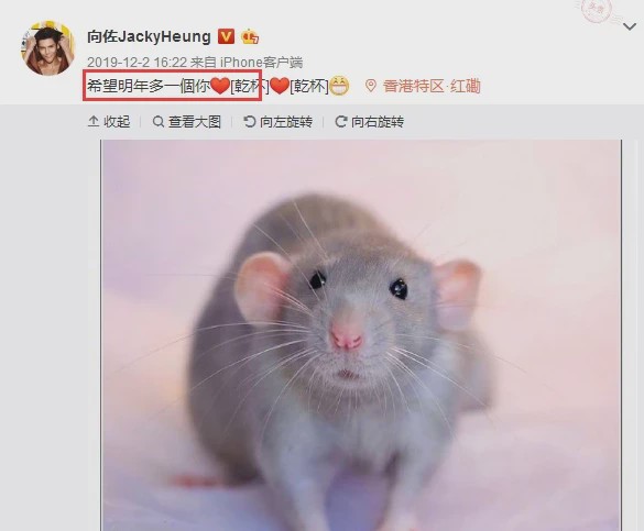 「怀孕」向佐激动发图文郭碧婷疑成功怀孕,但“辟谣专家”向太发文疑似否认