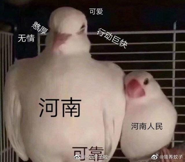 「退还」河南疫情期间多余住宿费一律退还 网友：建议全国高校效仿！