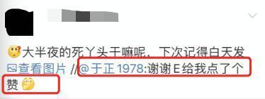 金晨|